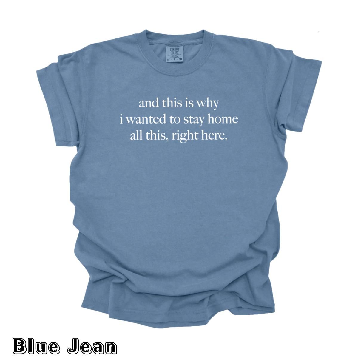 Comfort Colors And This Is Why I Wanted To Stay Home All This Right Here T-Shirt, Funny Introvert Quotes Tee, Trendy Gift for Women, For Woman – The William