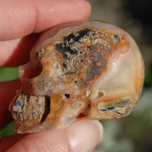 2in Crazy Lace Agate Crystal Geode Skull