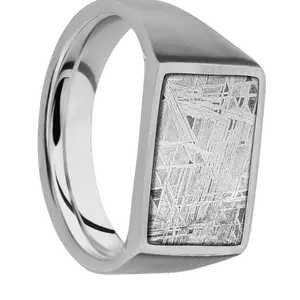 Medium Horizontal Rectangle signet ring (16x11.5mm) in Titanium, with a Wide style band, a Meteorite inlay.