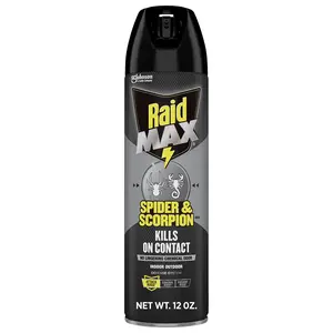 Raids Max Indoor and Outdoor Barrier Spray 12 oz, Fast Coverage Protective Formula for Crawling Insects, Home and Garden Care Solution
