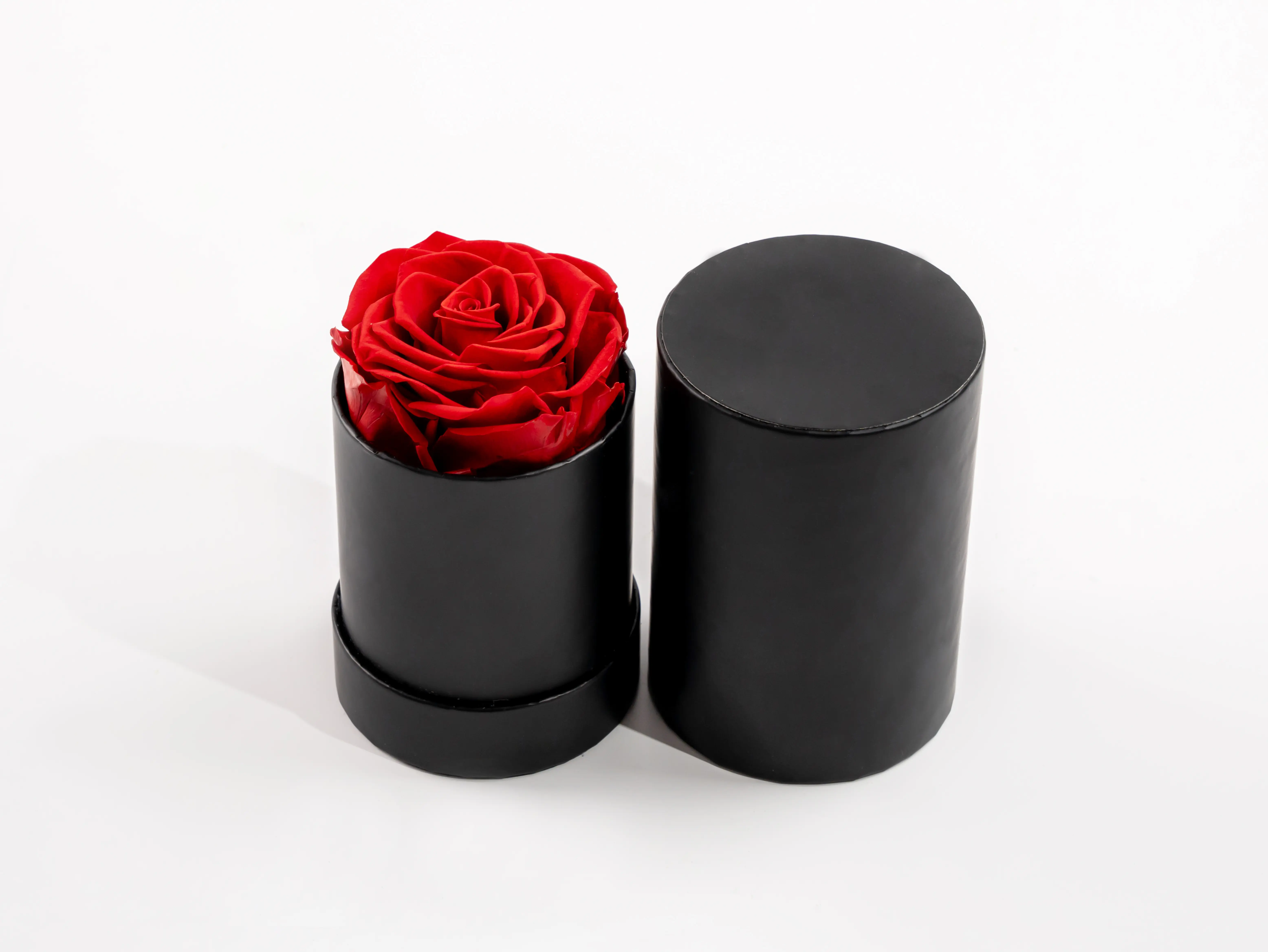 ExoticEtFleur Cylindrical Preserved Rose Box: Timeless Blooms for Every Celebration (can be customize colors)