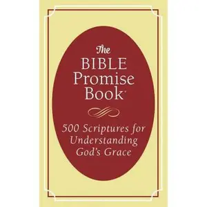 USED-The Bible Promise Book: 500 Scriptures for Understanding God's Grace by Fioritto, Jessie (Paperback)