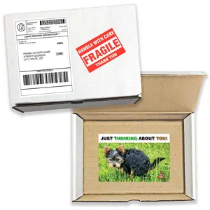 Prank Mail - Just Thinking About You Gag Box Gets Sent Directly to Your Recipient, 100% Anonymously!