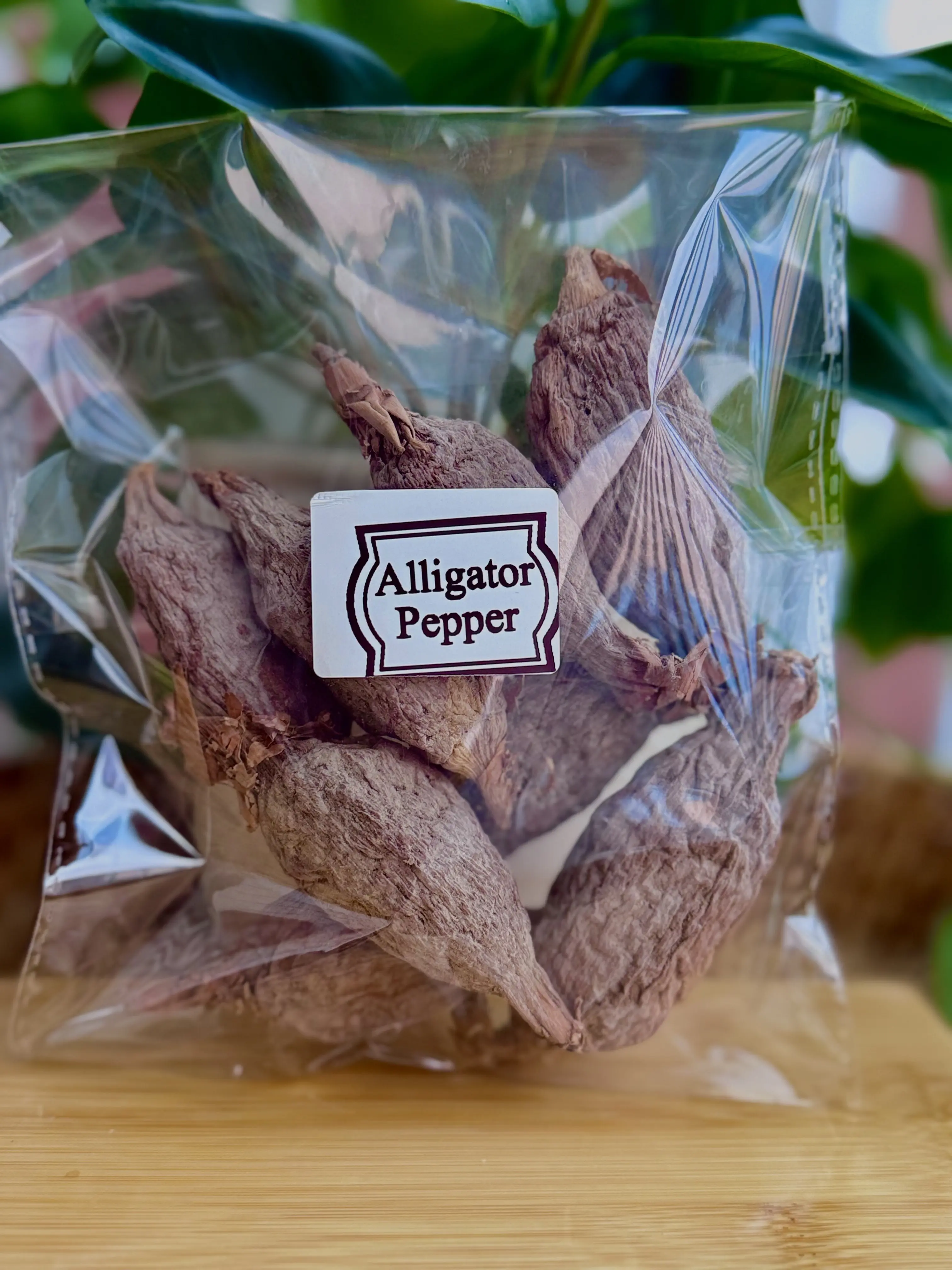 Alligator Pepper Alligator Pepper
