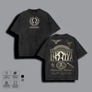 Aesthetic Stoic Philosophy Memento Mori Shirt, Retro Greek Architecture Graphic Tee, Unisex Heavyweight Cotton Shirt, Dark Mythology Fan Merch Gift
