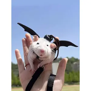 1pc Small Animal Hamster Traction Rope Strap, Hamster Flower Branch Rat Going Out Leash