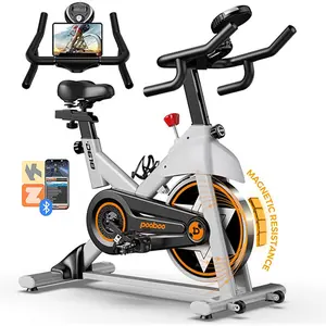 Exercise Stationary Bike for Home Gym, Indoor Cycling Bike With Comfortable Seat,Silent Belt Drive Indoor Bike for Cardio Workout