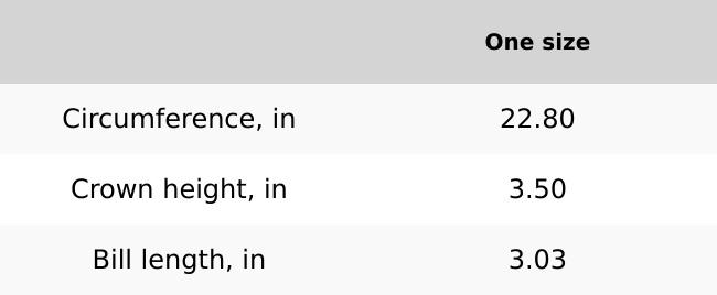 250th Anniversary Trucker Cap — Vintage Eagle Patriotic Mesh Hat