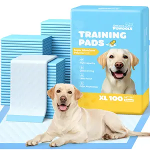 Puppy Training Pads 100 Pack, Disposable Dog Pee Pads with Ultra Absorbent Core, Leakproof Protection and Odor Lock Technology, Quick Dry Pet Potty Pads for Puppies, Dogs and Small Pets, Perfect for Home, Crate and Travel Training