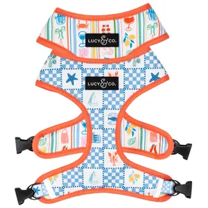 Sunny in Sicily Reversible Harness