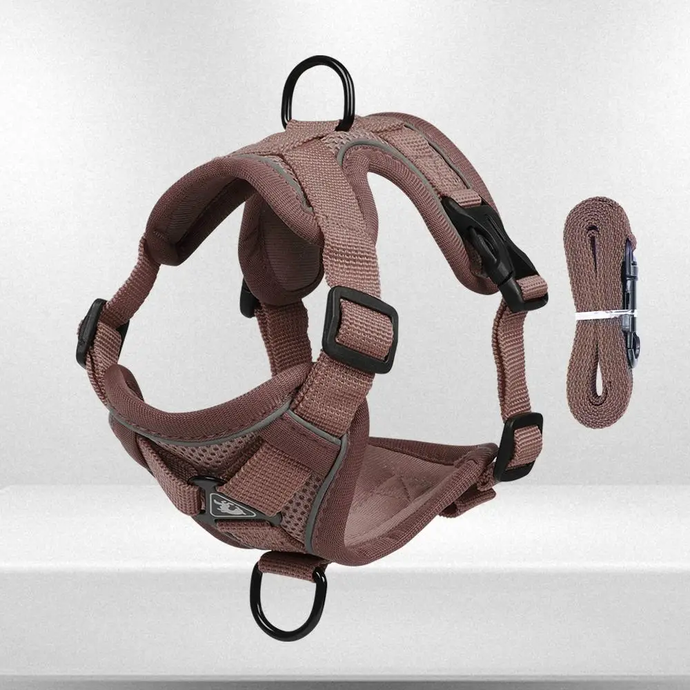 Pet Vest Harness & Leash, 1 Set Breathable Mesh Dog Harness With Reflective Strip, Dog & Cat Chest Strap, Pet Supplies For Outdoor Walking