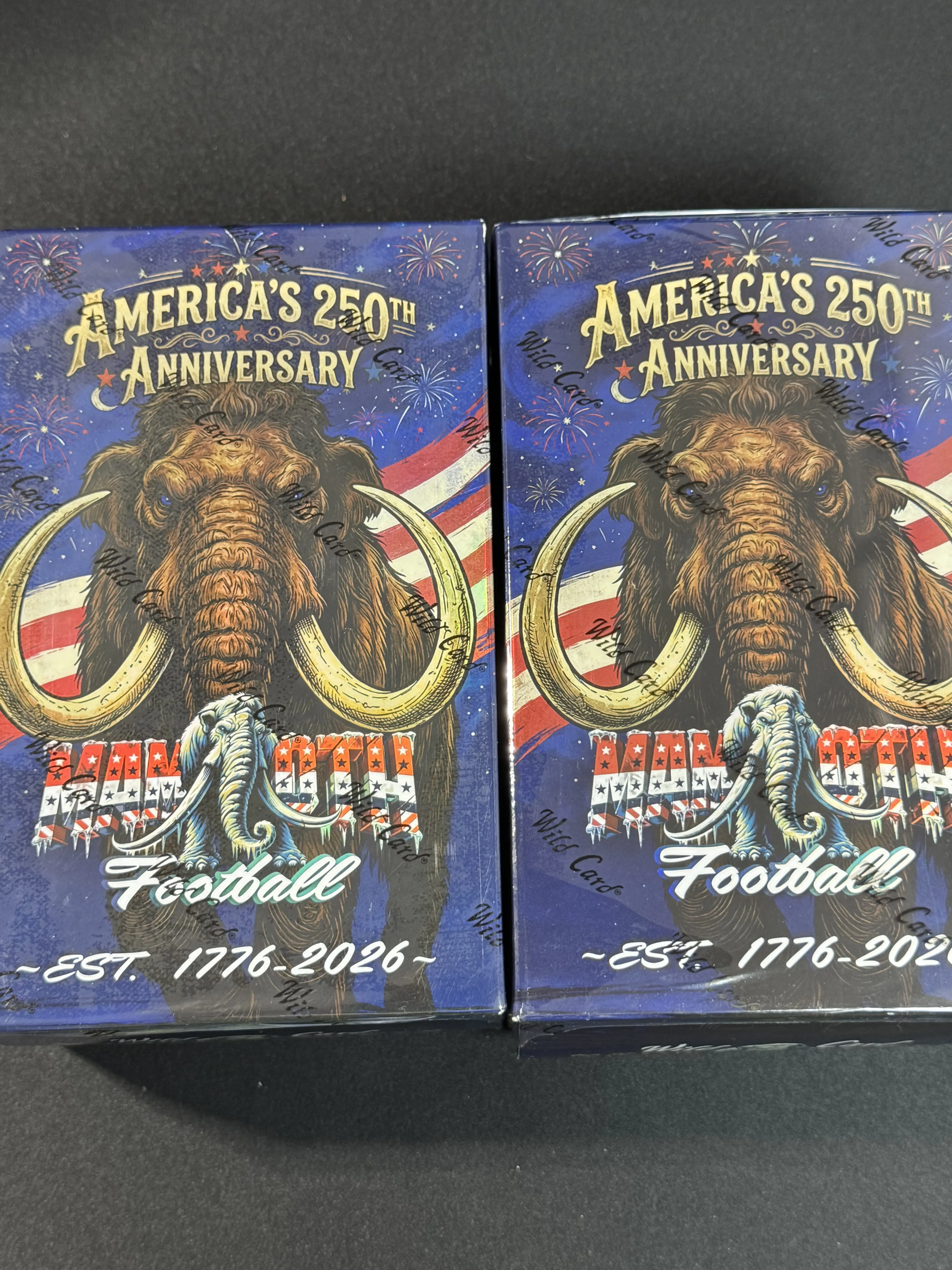 Americas 250th Anniversary Mammoth 2 box deal