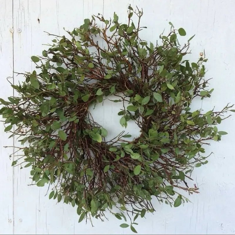 Manzanita Branches Wreath Natural Organic 18 Inch Diameter Fresh Leaves for Indoor Outdoor Decor