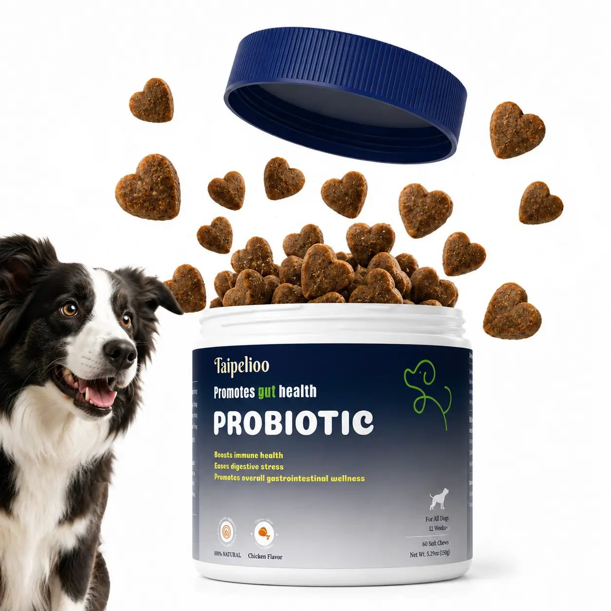 Taipelioo Senior Dog Probiotic Chewables, 3.75B CFU Probiotic Mix Gut Support Supplement, Chicken Flavor, 60 Count, Promotes Overall Wellness, Canine Digestion & Immune Aid