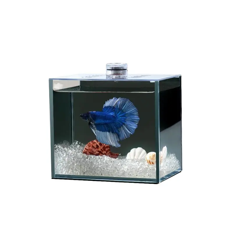 Thai Betta Fish Tank with Black Background Small Desktop Micro Landscape Mini Office Desk Ultra Clear Glass Betta Tank