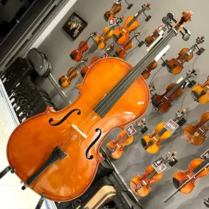 Strumenti a Corde 104: Student Cello, Laminated - 4/4