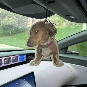 Non-Toxic Car Air Freshener with Sea Salt and Aloe Vera, Lasts Over 60 Days, Clip-On or Hanging Car Aroma, Perfect Gift for Friends or Wife, Car Interior Diffusers, Car Fragrance