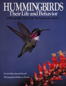 USED-Hummingbirds, Their Life and Behavior: A Photographic Study of the North American Species by Esther Quesada Tyrrell (Hardcover)