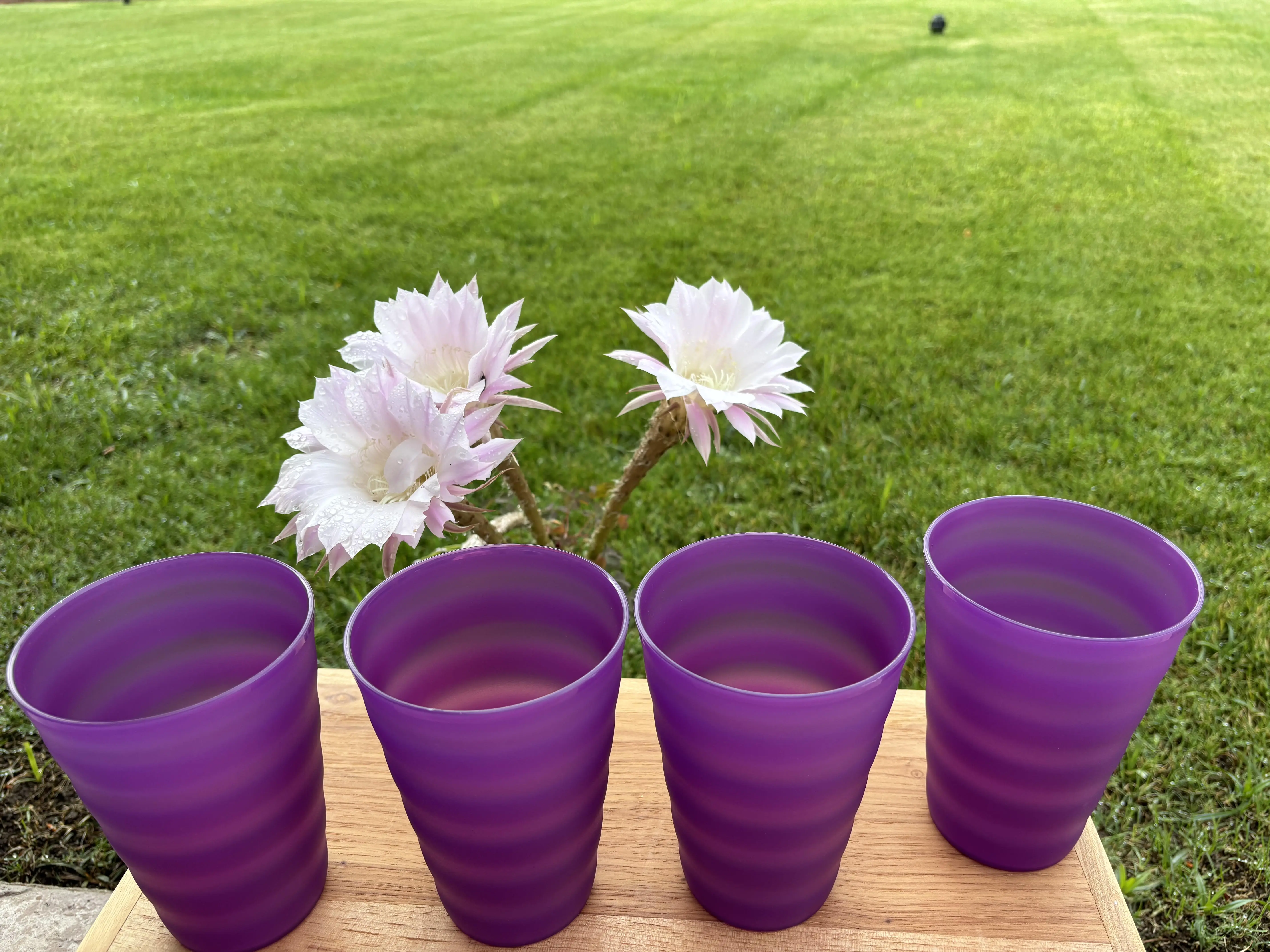 Set de 4 vasos grandes color morado 500 ml Set de 4 vasos grandes color morado 500 ml