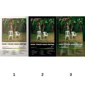 Bunny Debí Tirar Más F0t0s Poster - Music Poster - Wall Art - Gift for Fans - Room Decor