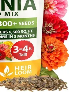 Zinnia seeds and lavender seeds mixed for planting in all seasons, easy to survive and colorful