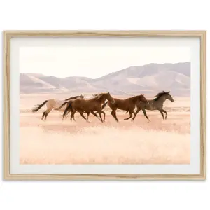 Fine Art Wild Horses Print – Western Photography | Desert Utah Wall Art for Coastal Cowgirl Decor