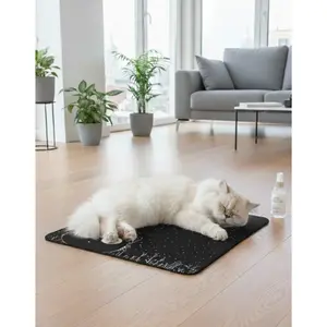 Cosmic Kitty - Cat Mat