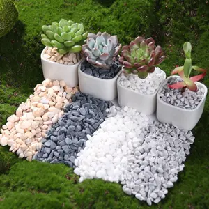 Decorative River Stones for Indoor Plants, Outdoor Garden Decor, Vase Filler, Aquatic Plants, Aquarium Decor, Mini Gardens, Festive Decorations