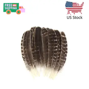 15pcs Natural Turkey Feather, 10-11 Inches Wild Turkey Feathers