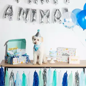 PARTY ANIMAL - FULL PARTY BOX (blue)