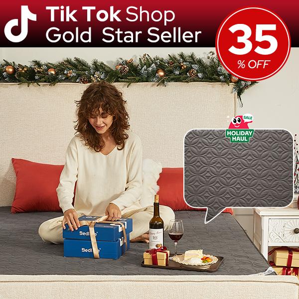 【BEDLORE】Big Copper Coins Waterproof Mattress Protector, 6-18'' Deep Pocket Mattress Pad, Soft Dirt-Proof Bedroom,Collage Dorm,Hotel