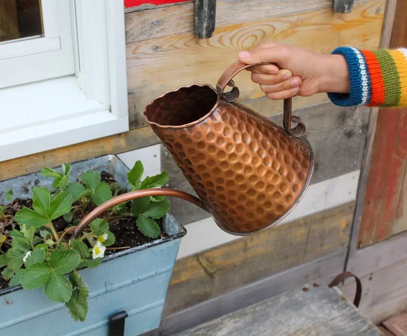 French Market Solid Copper Watering Can - Elegant Design for Versatile Use
