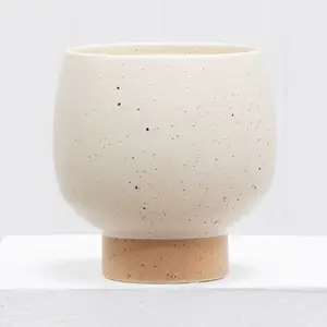 Small Indoor Speckle Cream Ceramic Planter with Tan Base