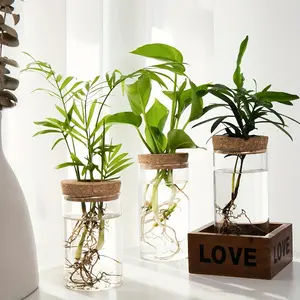 Glass Plant Terrarium without Plant, 1 Piece Water Planting Bottle, Hydroponic Plant Breeding Stand, Hydroponic Planters, Home Decor for Living Room Bedroom Office, Modern Plant Pot, Vase