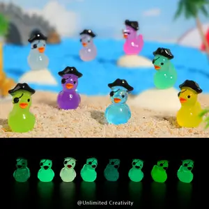 10-piece Set Creative 8-color 3D Resin Pirate Luminous Duck Figurines Collectible Figurines DIY Accessories Creative Cartoon Style Unique Ducks