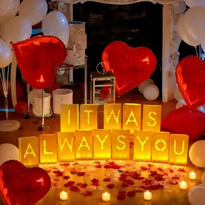 It was You Paper Bags with LED Flameless Candles and Rose Petals Balloons Light Up Letters for Valentines' Day Anniversary Proposal Special Decorations