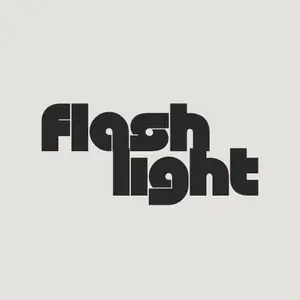 FLASH LIGHT STORE shop logo