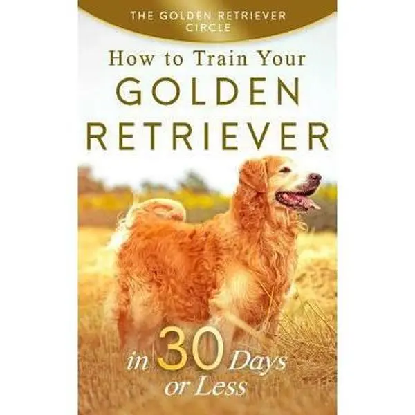 USED-Golden Retriever: How to Train Your Golden Retriever in 30 Days or Less by Circle, The Golden Retriever (Paperback)