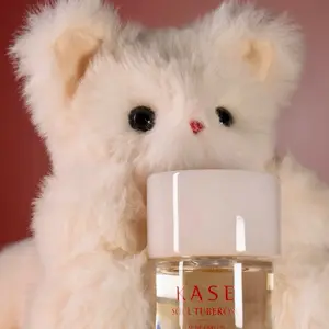 SCENTS OF BELONGING - Cozy Plush Bears for Home Scenting, Soft and Huggable, Perfect for Creating a Warm and Inviting Atmosphere