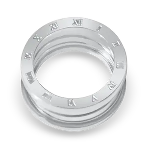 Eternal Band Ring – Elegant Bridesmaid Gift  18K PVD Gold or Silver