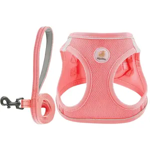 Dog Harness and Leash Set, No Pull Soft Mesh Puppy Harness for Small Medium Dogs, Cats - Step in Reflective Breathable Lightweight Vest Harness for Walking, Training - Pink, XS