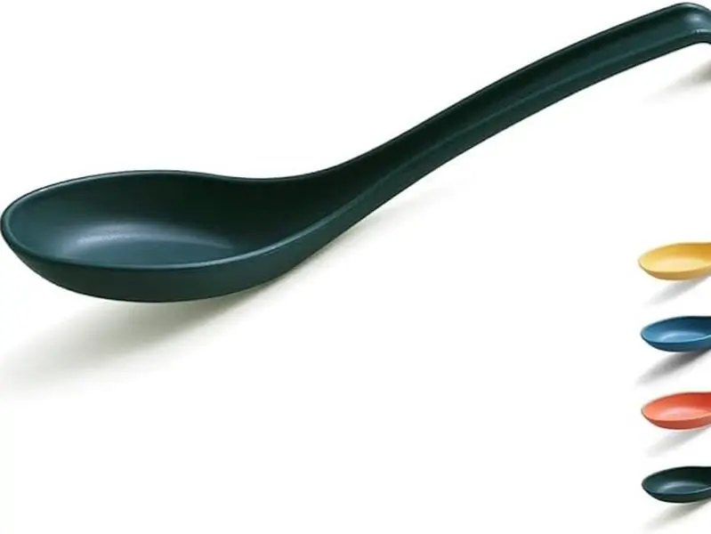 Soup Spoon, ECO Friendly Dinner Spoon