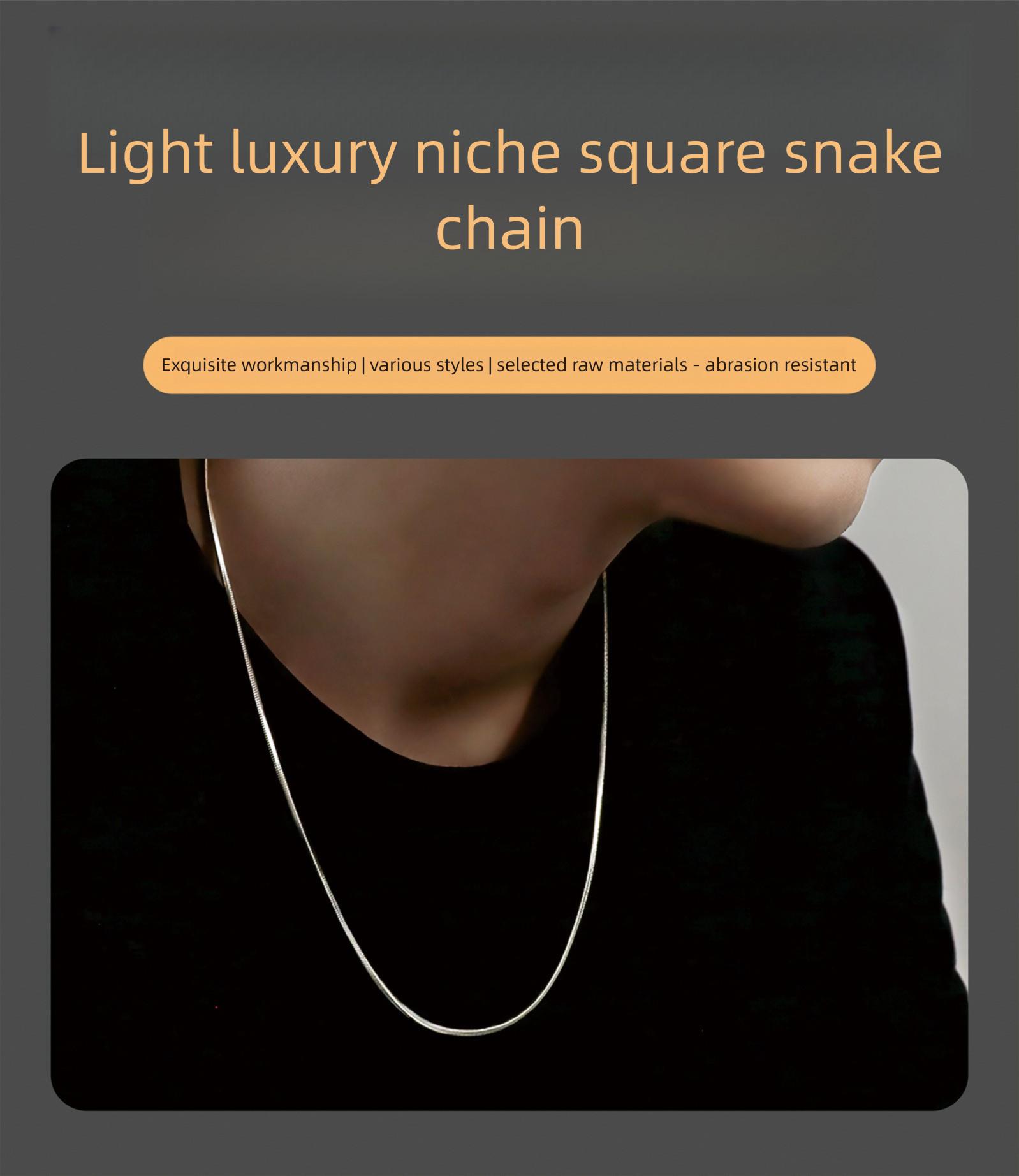 Jewelry snake chain necklace, light luxury niche titanium steel necklace, versatile for men and women, sweater chain with a light luxury and high-end feel