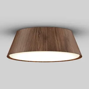 Dunham 15 in. LED flush mount light 5 CCT Dunham 15 in. LED flush mount light 5 CCT