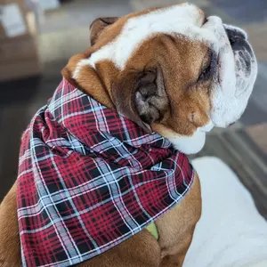 Winter Red Plaid Holiday Pet Bandana
