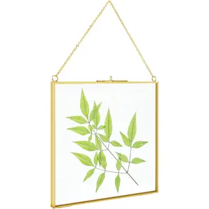 8x8 inch Brass Hanging Photo Frame,Double Glass Frame for Pressed ,Clear DIY  Artwork Display Frame Wall Mounted Photos Frame