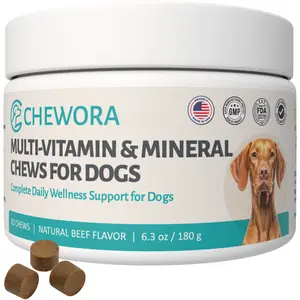 Dog Multivitamin Chews – 60 Soft Beef Flavor Treats | Supports Immunity, Skin & Coat, Heart Health + Daily Wellness