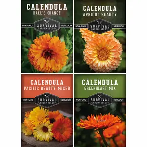 Calendula Seed Collection - 4 Variety Mix