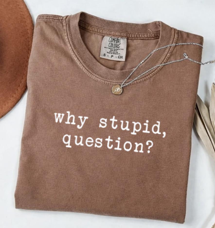 Comfort Colors Why Stupid Question Project Hail Funny Space Quote Shirt, Sci Fi Book Shirt, Bella Canvas Tee