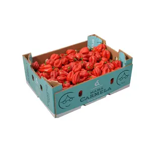 Red Habanero Pepper